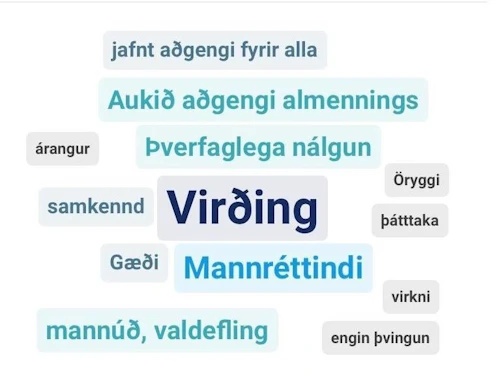 Gildi sem fram komu meðal þátttakenda á geðheilbrigðisþingi árið 2020